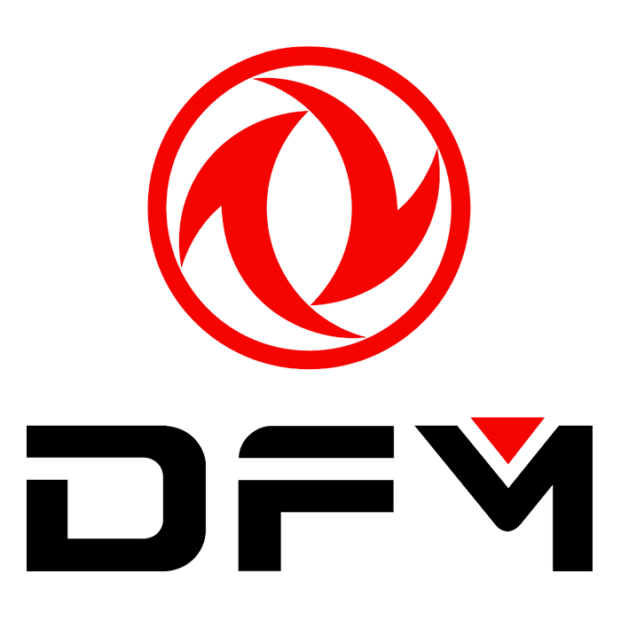 DFM